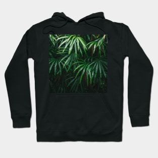 Jungle Palm leaves Hoodie